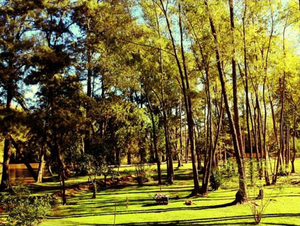 Cabanas Isla San Jose ティグレ 部屋 写真
