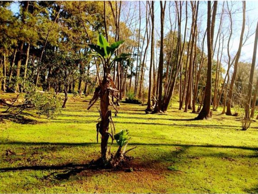 Cabanas Isla San Jose ティグレ 部屋 写真